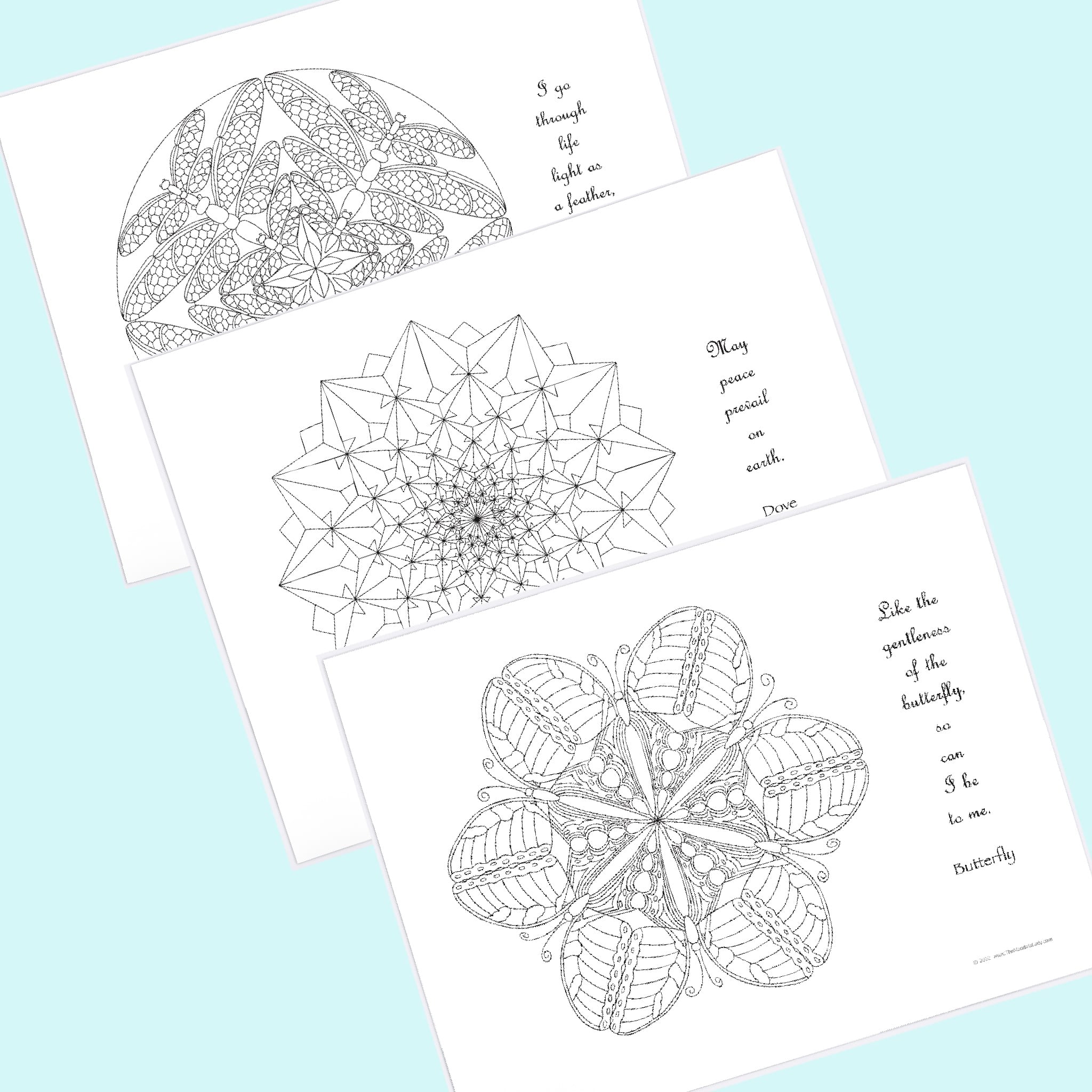 A bundle of 3 blank mandala pages for coloring